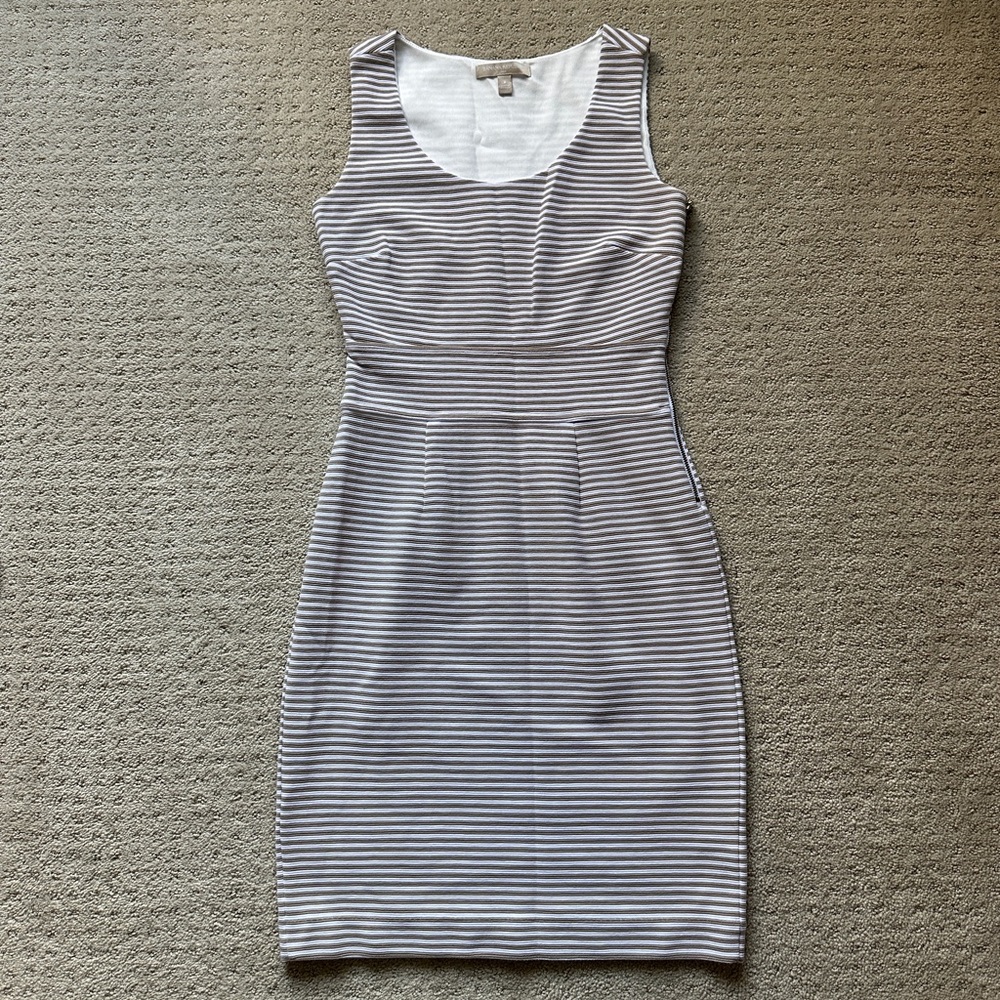 Banana Republic Women’s Striped Dress